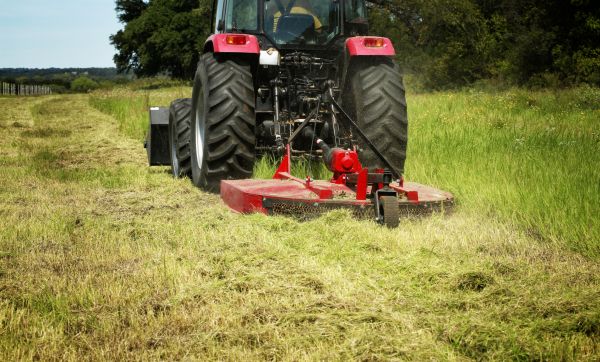 Cost of Brush Clearing Service in Rome