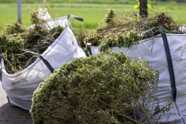 Cost of Bushes Clearing in Rome