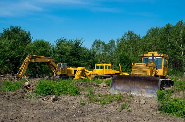 Cost of Bulldozer Clearing in Rome