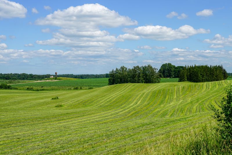 Clearing for Agriculture